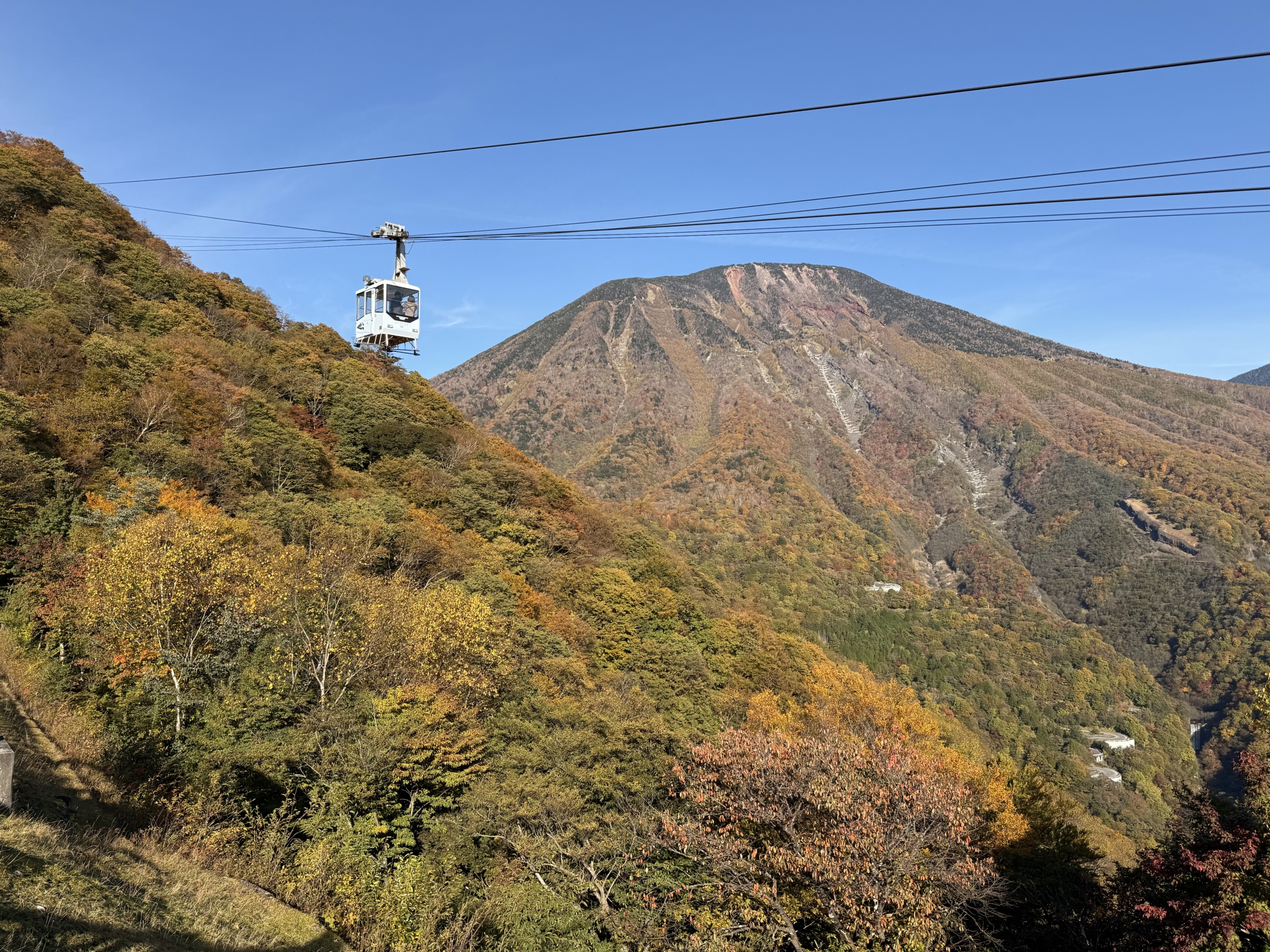 IMG_4563